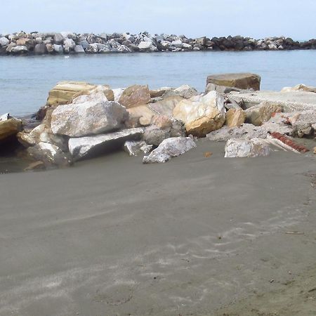 La Coccinella Διαμέρισμα Marina Di Pisa Εξωτερικό φωτογραφία