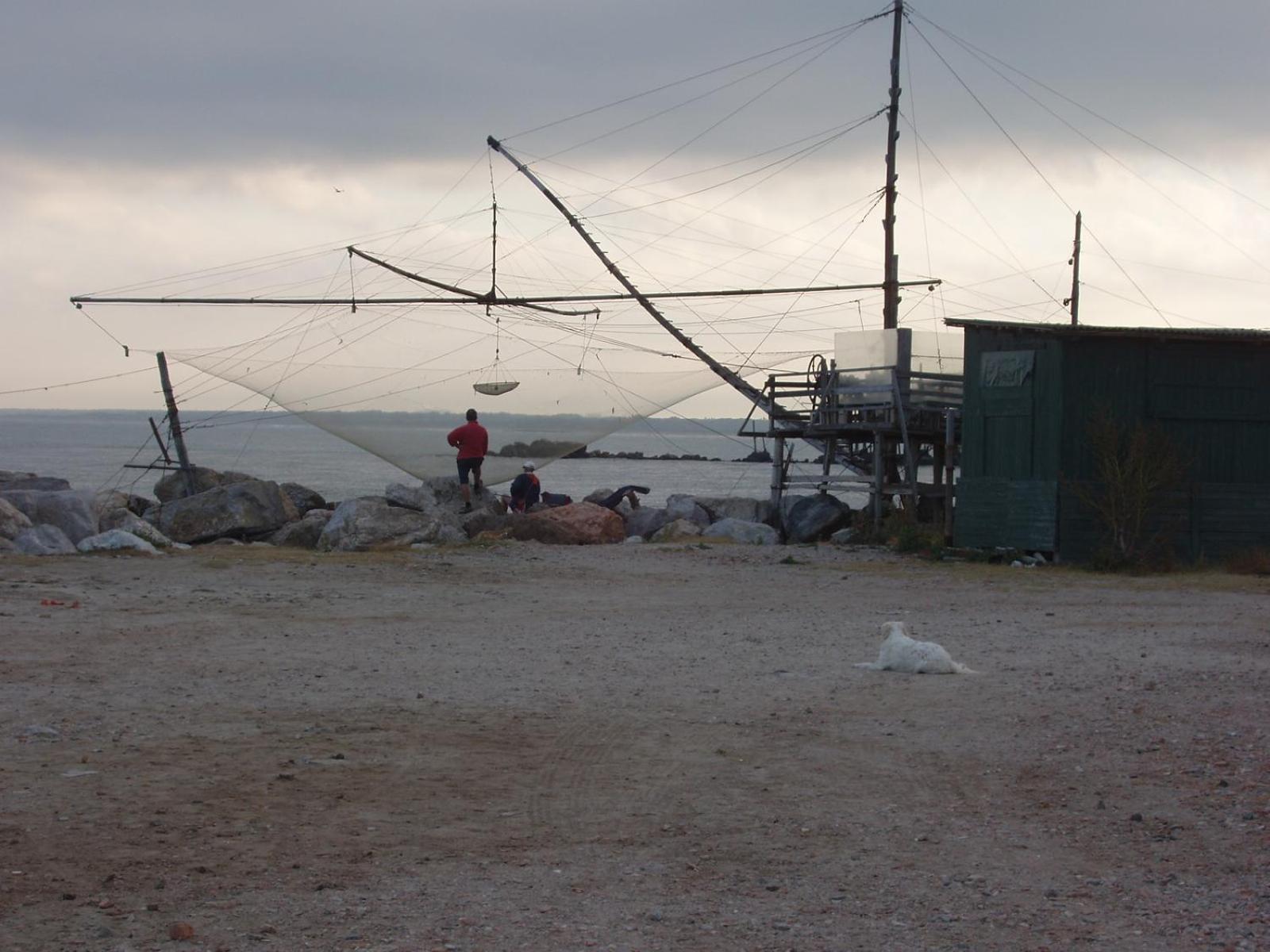 La Coccinella Διαμέρισμα Marina Di Pisa Εξωτερικό φωτογραφία