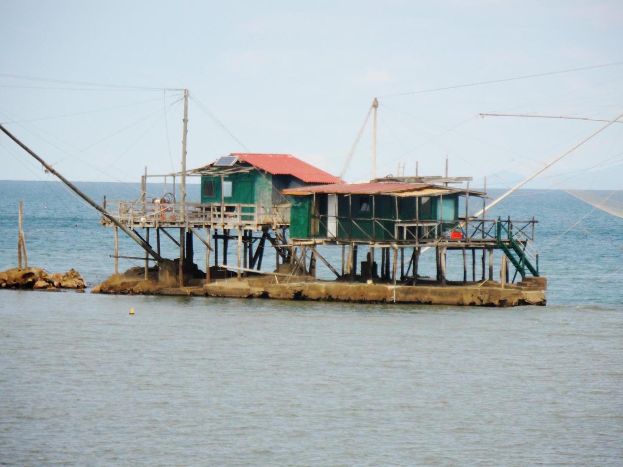 La Coccinella Διαμέρισμα Marina Di Pisa Εξωτερικό φωτογραφία