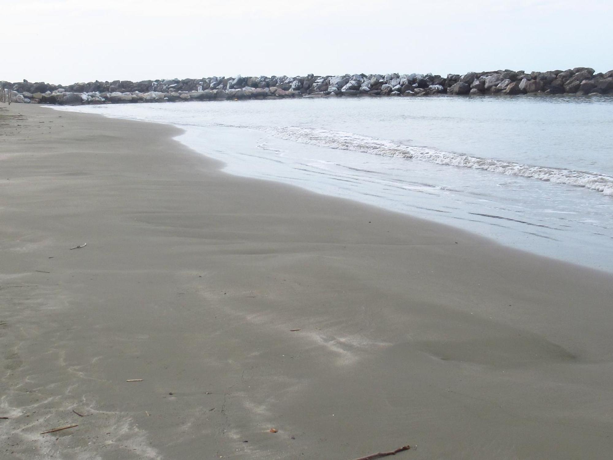 La Coccinella Διαμέρισμα Marina Di Pisa Εξωτερικό φωτογραφία